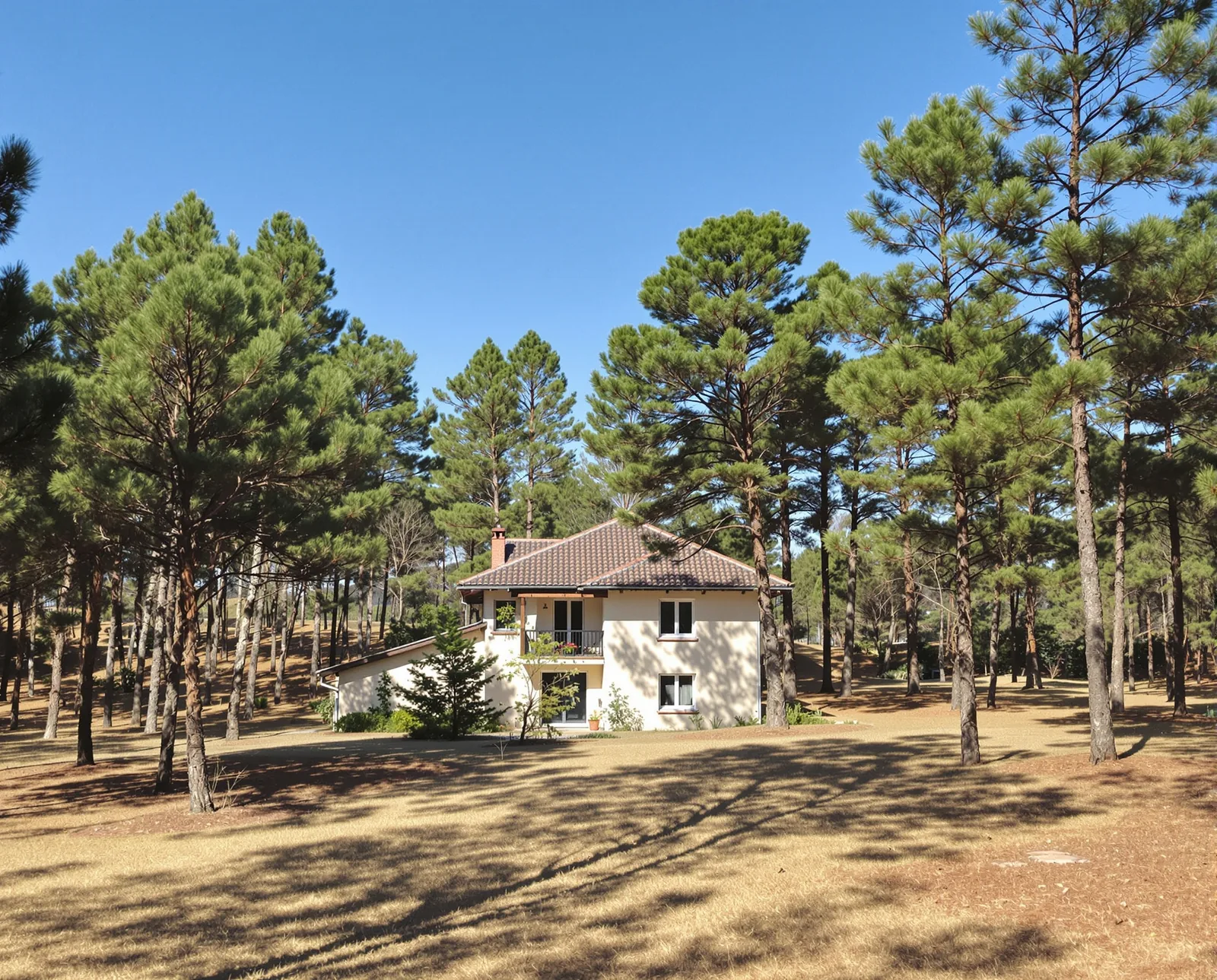 Maison en lisière de forêt à Cestas